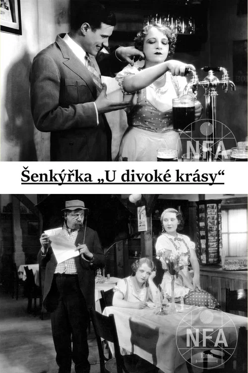 Šenkýřka „U divoké krásy“ постер