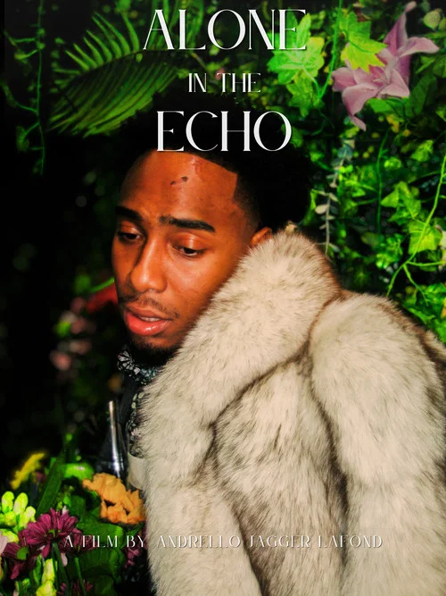 Alone in the Echo постер