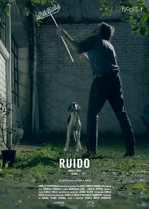 Ruido постер