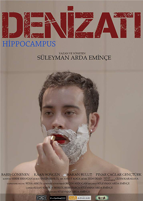 Denizatı постер