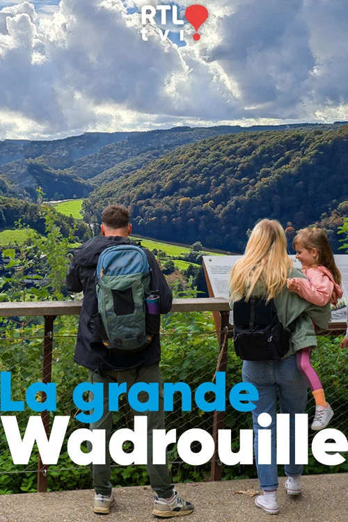 La Grande Wadrouille постер