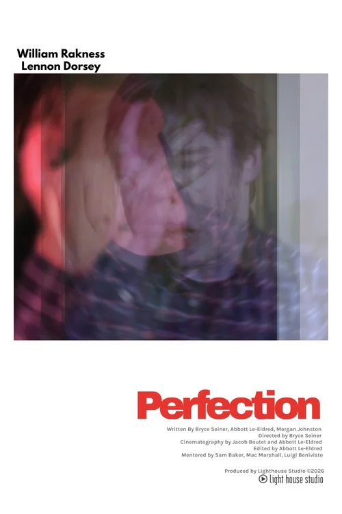Perfection постер