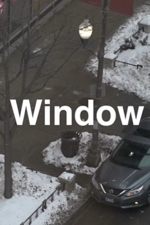 Window постер