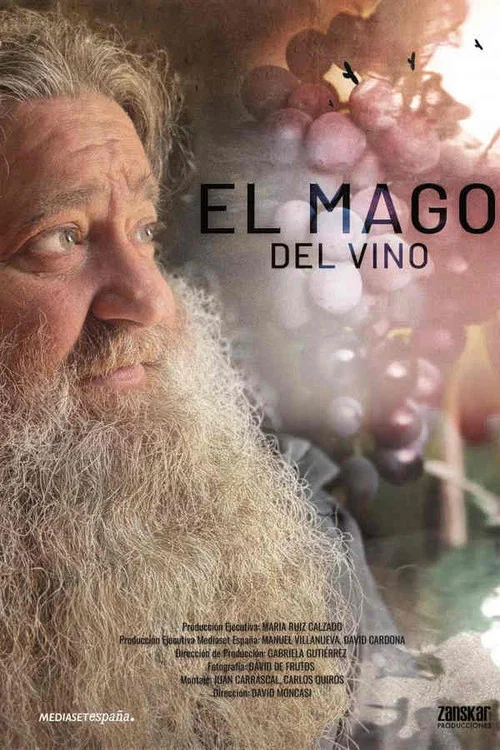 El mago del vino постер
