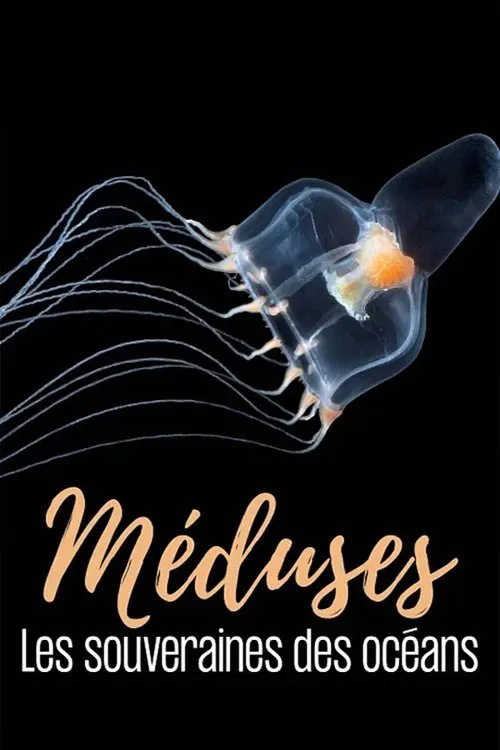 Méduses les souveraines des océans постер