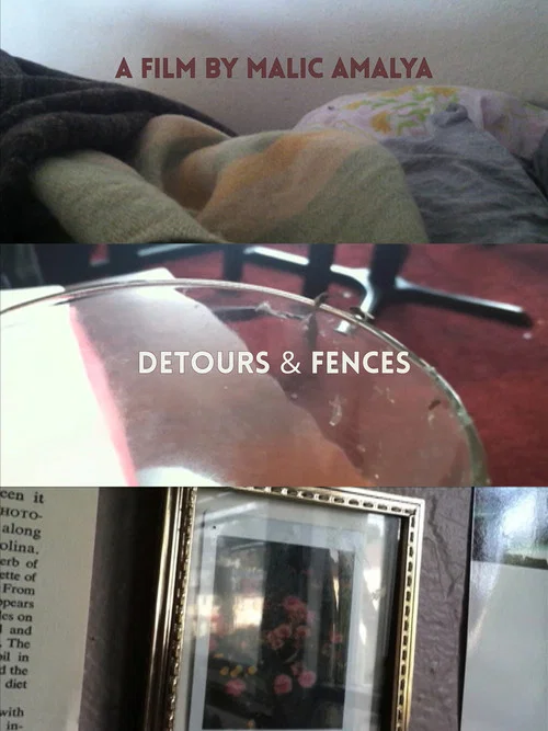 Detours and Fences постер