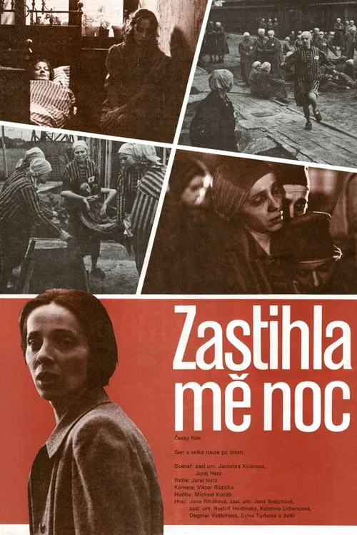 Zastihla mě noc постер