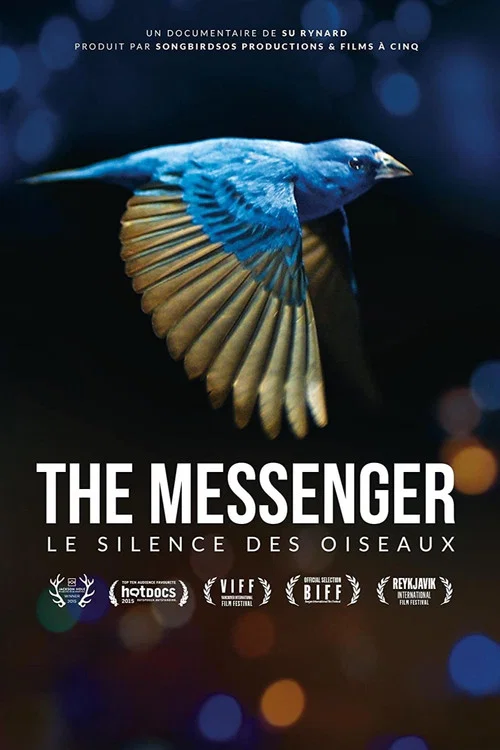 Le Silence des oiseaux постер