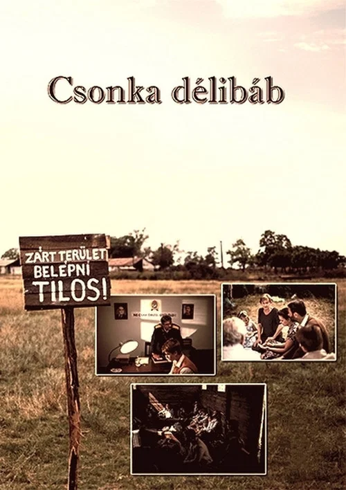 Csonka délibáb постер