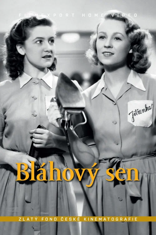 Bláhový sen постер
