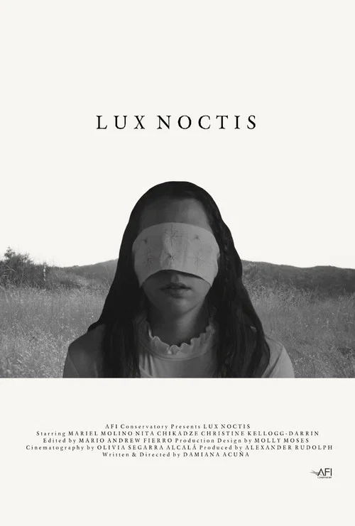 Lux Noctis постер
