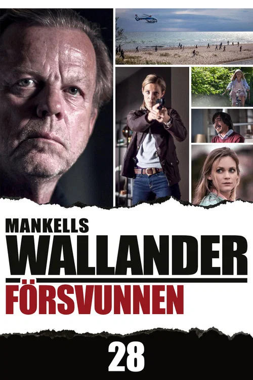 Försvunnen постер