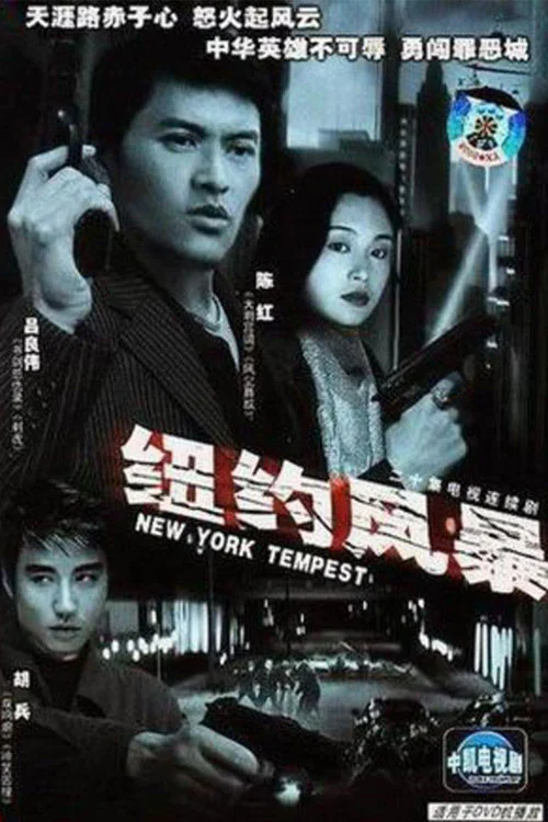纽约风暴 постер