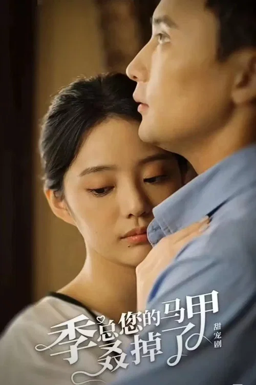 季总您的马甲叒掉了 постер
