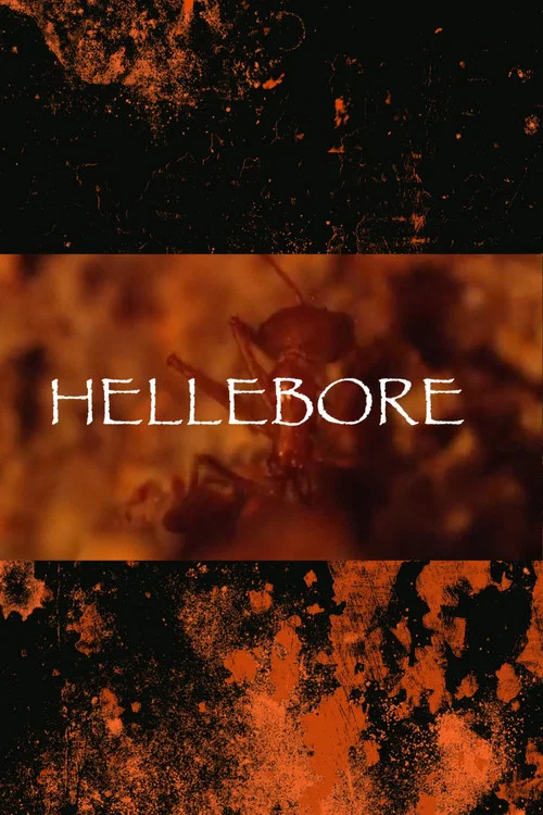 Hellebore постер
