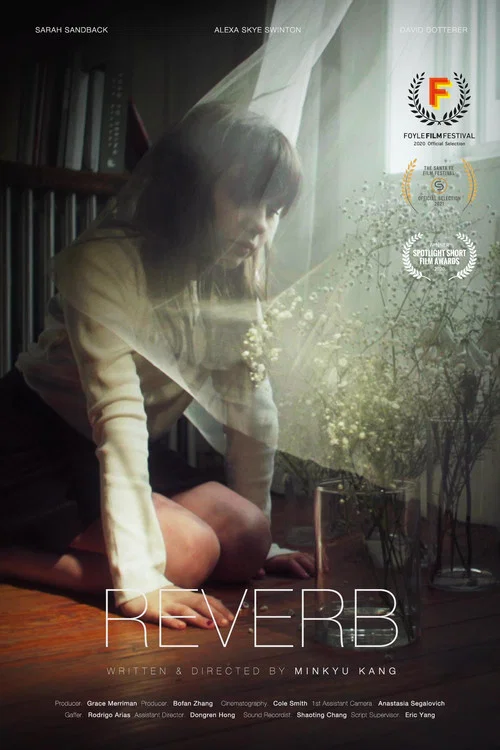 Reverb постер