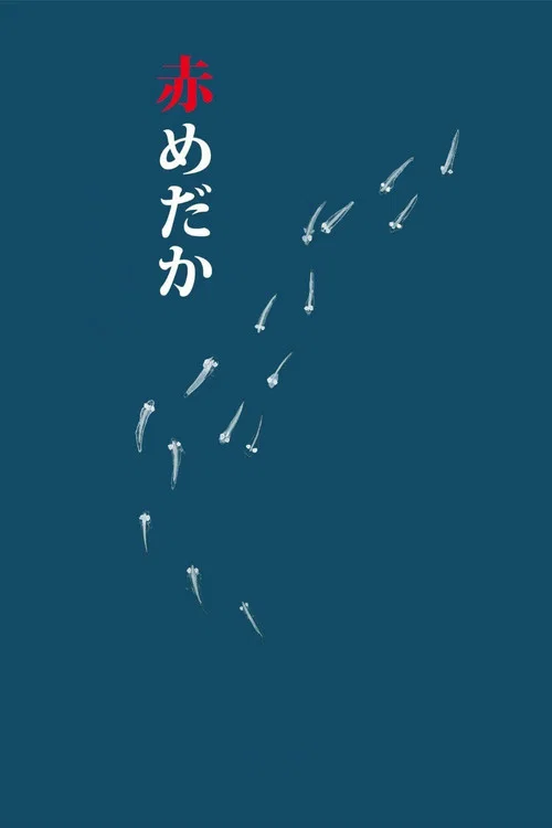 赤めだか постер
