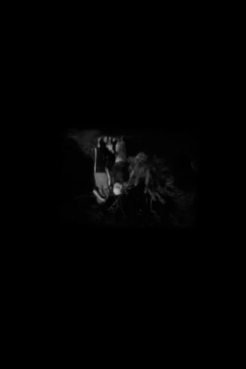 Nocturnum постер