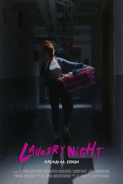 Laundry Night постер