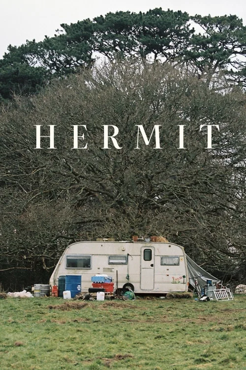 Hermit постер