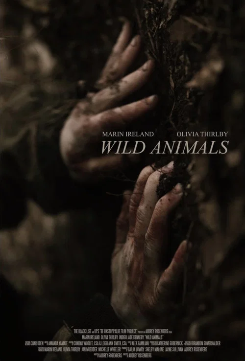 Wild Animals постер