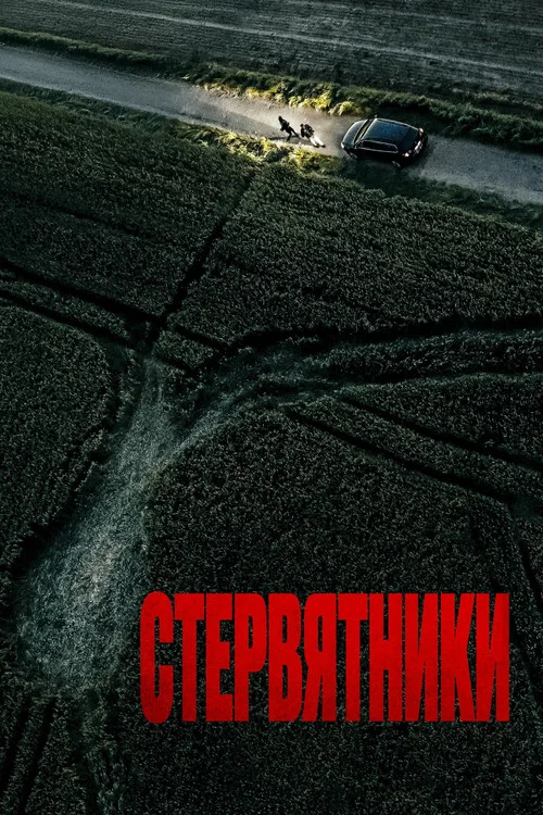 Стервятники постер