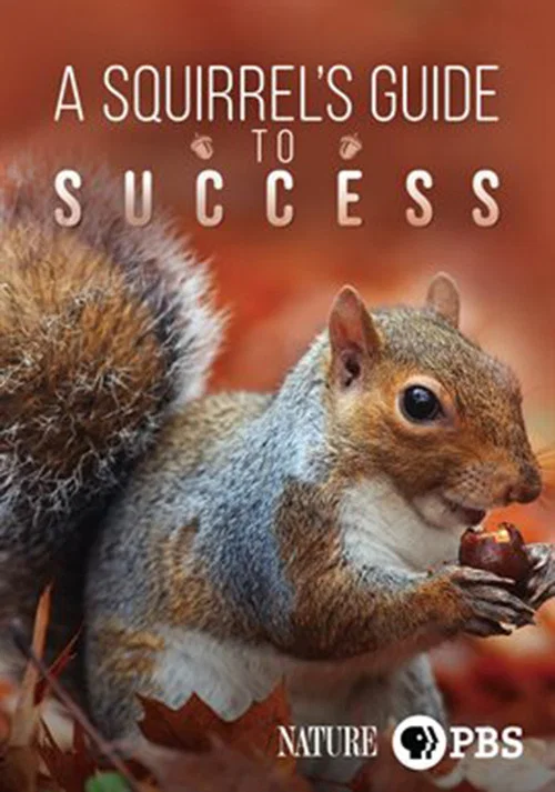 A Squirrel's Guide to Success постер