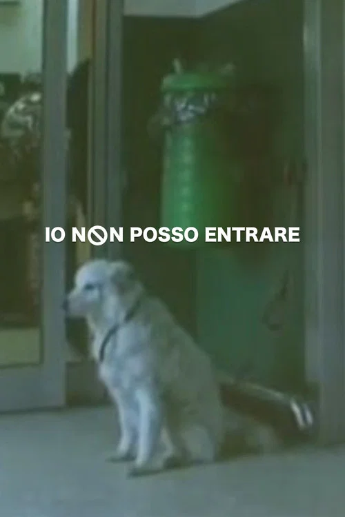 Io non posso entrare постер
