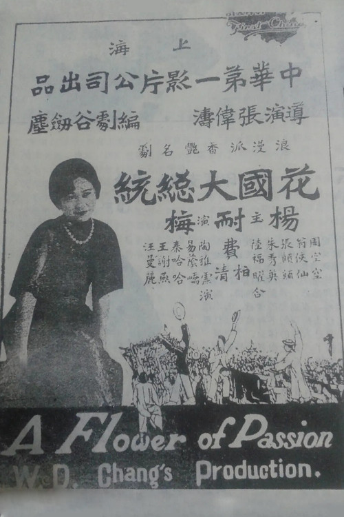 花國大總統 постер