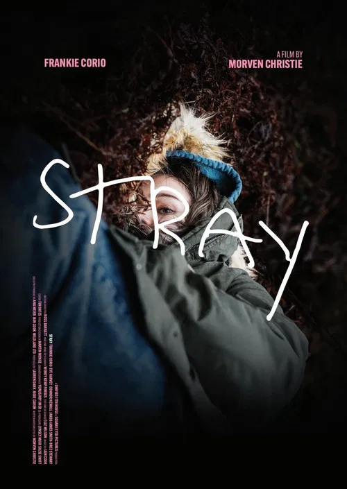 Stray постер