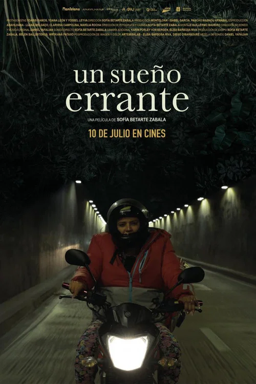 Un sueño errante постер