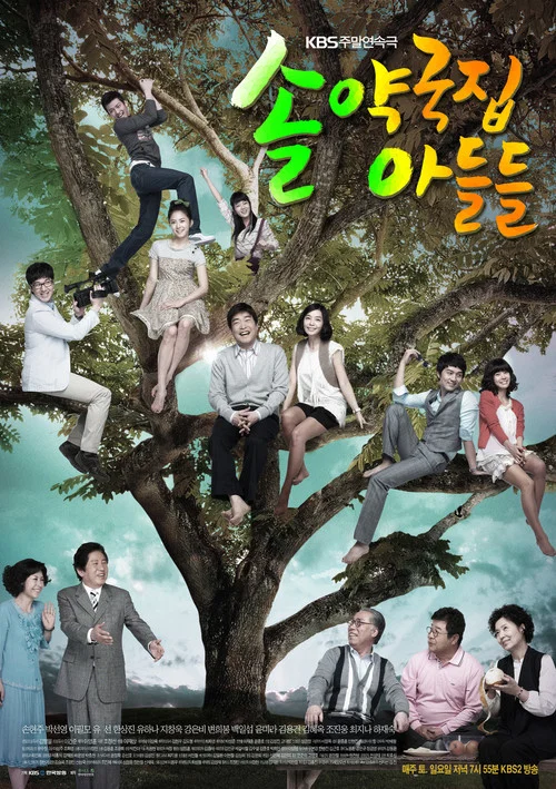 솔약국집 아들들 постер