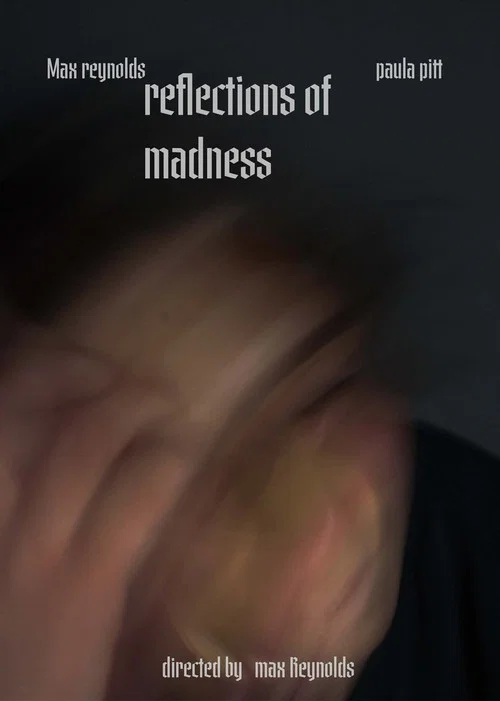 Reflections of madness постер
