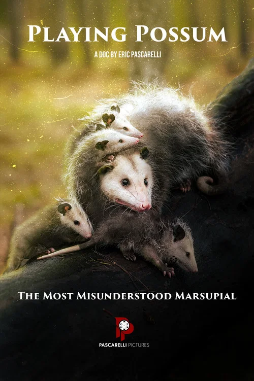 Playing Possum постер