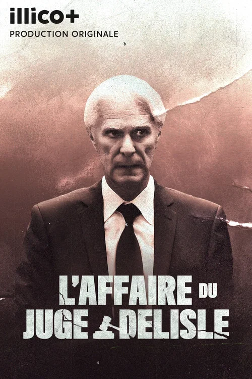 L'affaire du juge Delisle постер