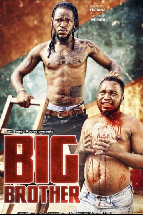 Big Brother постер