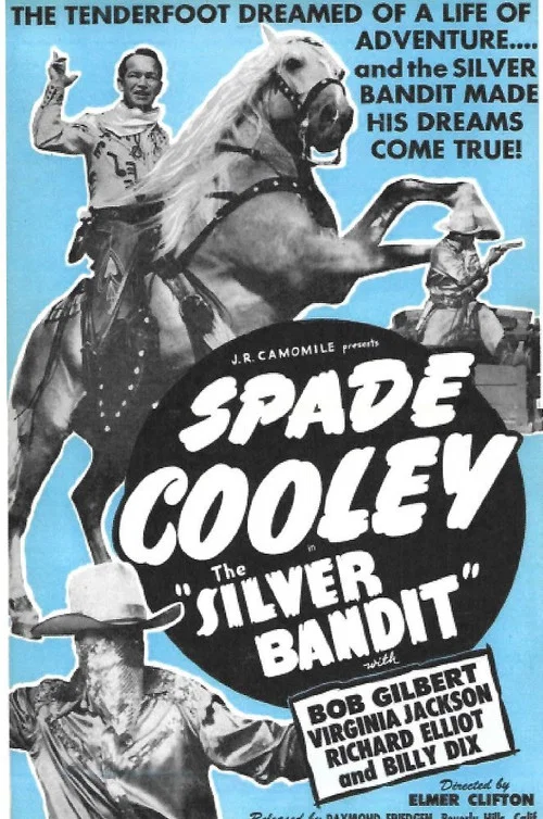 The Silver Bandit постер