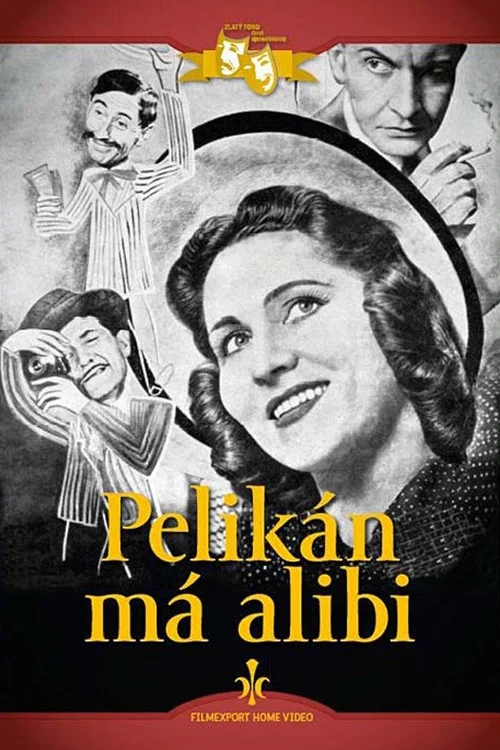Pelikán má alibi постер