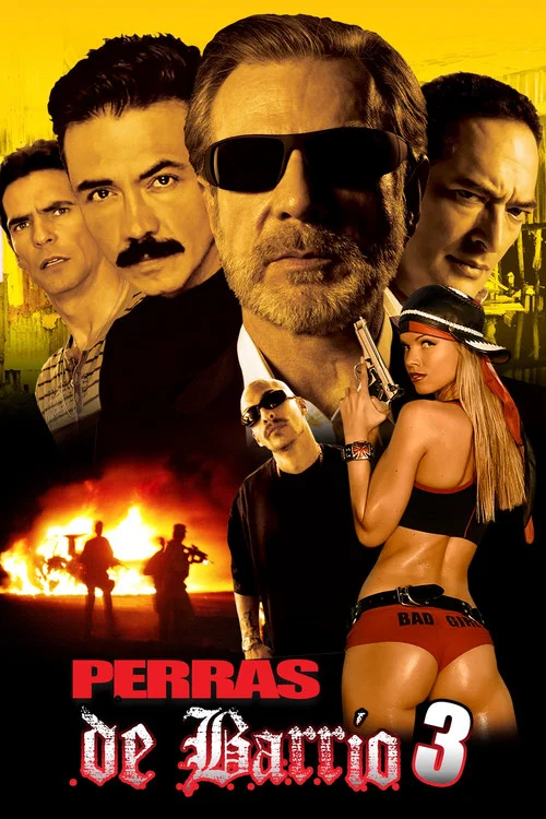 Perras de barrio 3 постер