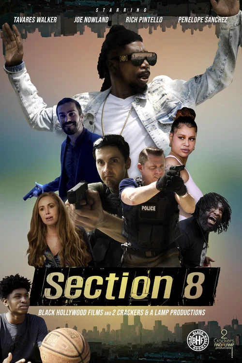 Section 8 постер