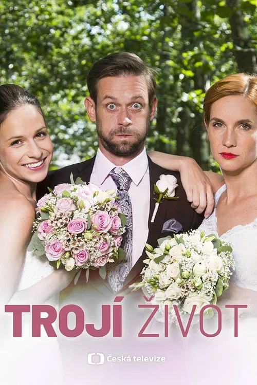 Trojí život постер