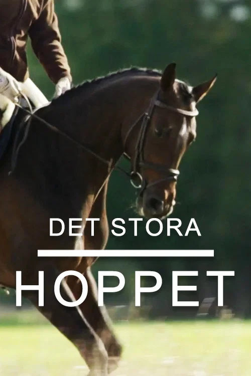 Det stora hoppet постер