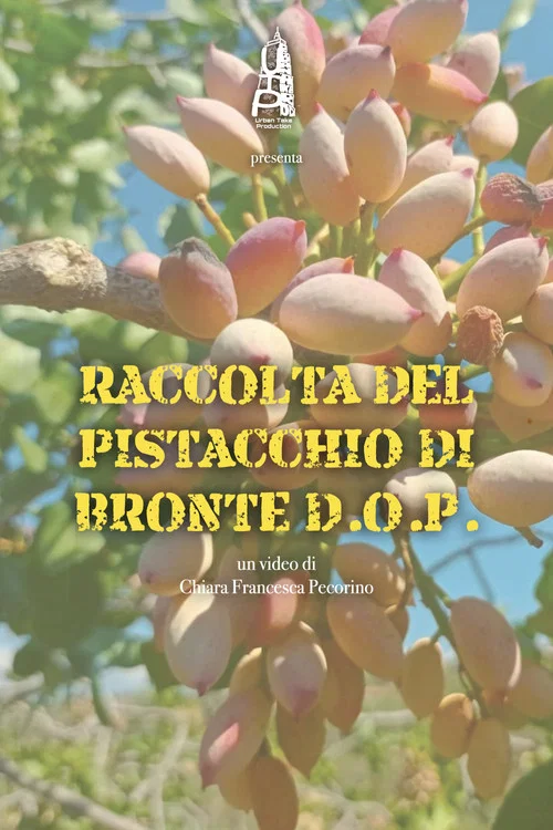 Raccolta del pistacchio di Bronte D.O.P. постер
