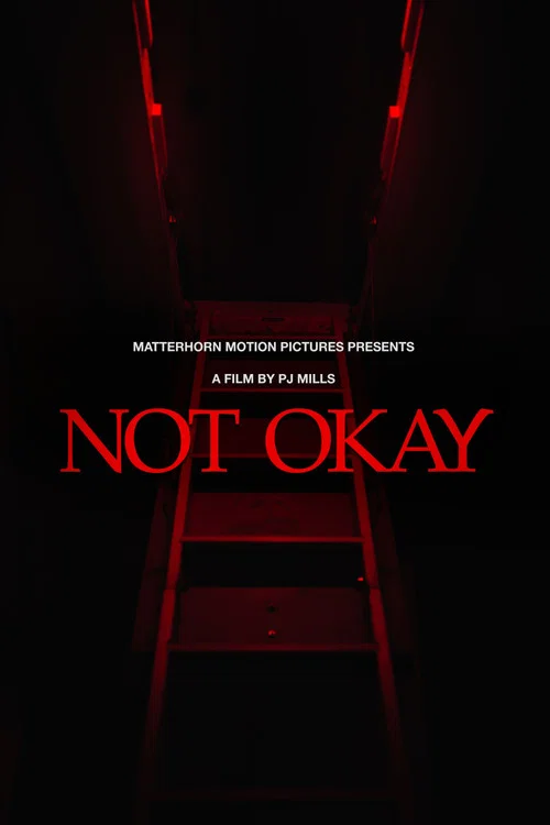 Not Okay постер