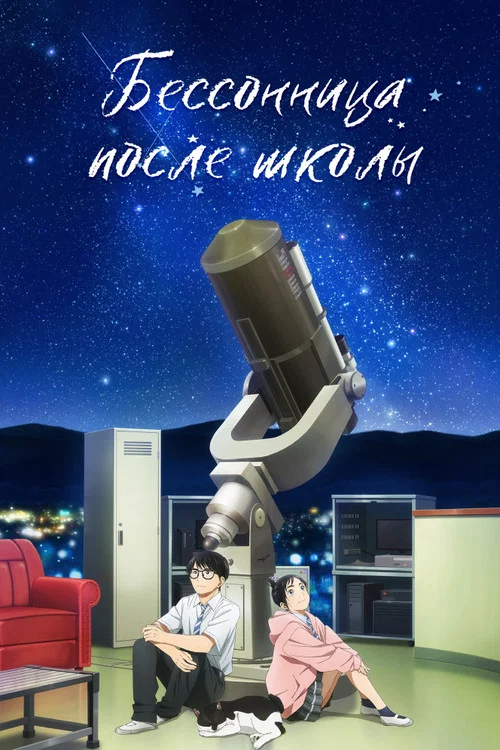 Бессонница после школы постер