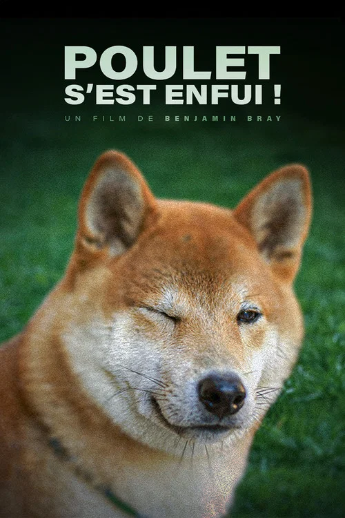 Poulet s'est enfui ! постер