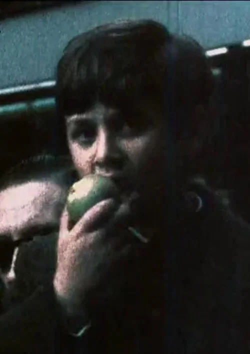 Manzanas постер