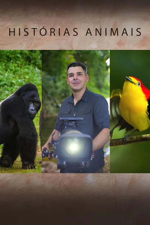 Histórias de Animais постер