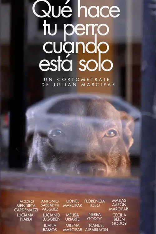 Qué hace tu perro cuando está solo постер
