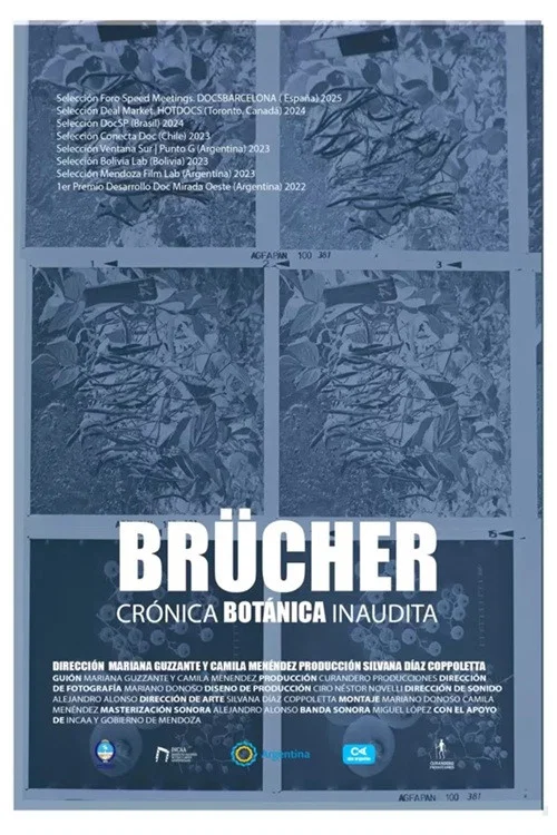 Brücher, Crónica Botánica Inaudita постер
